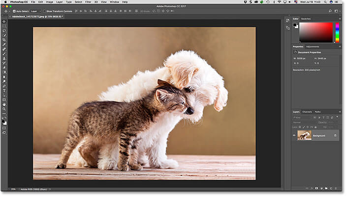 Adobe PhotoShop cc Latest Version 