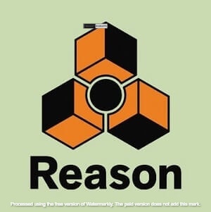Reason Crack Logo